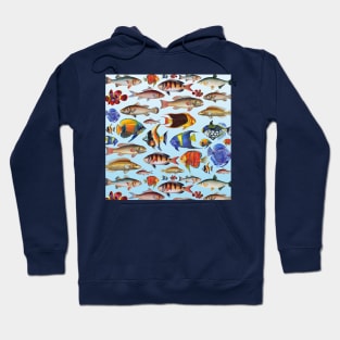 Colorful fish in the ocean Hoodie